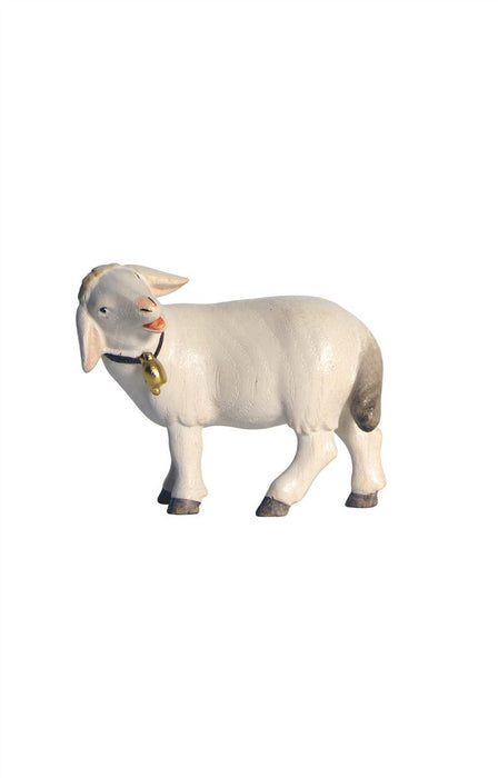Pema Sheep Standing With Bell Look