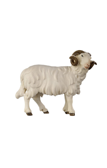 Kostner Ram Looking Right