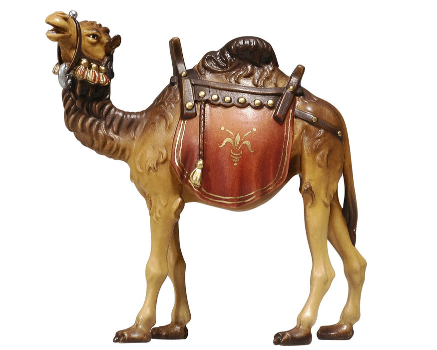 Kostner Camel