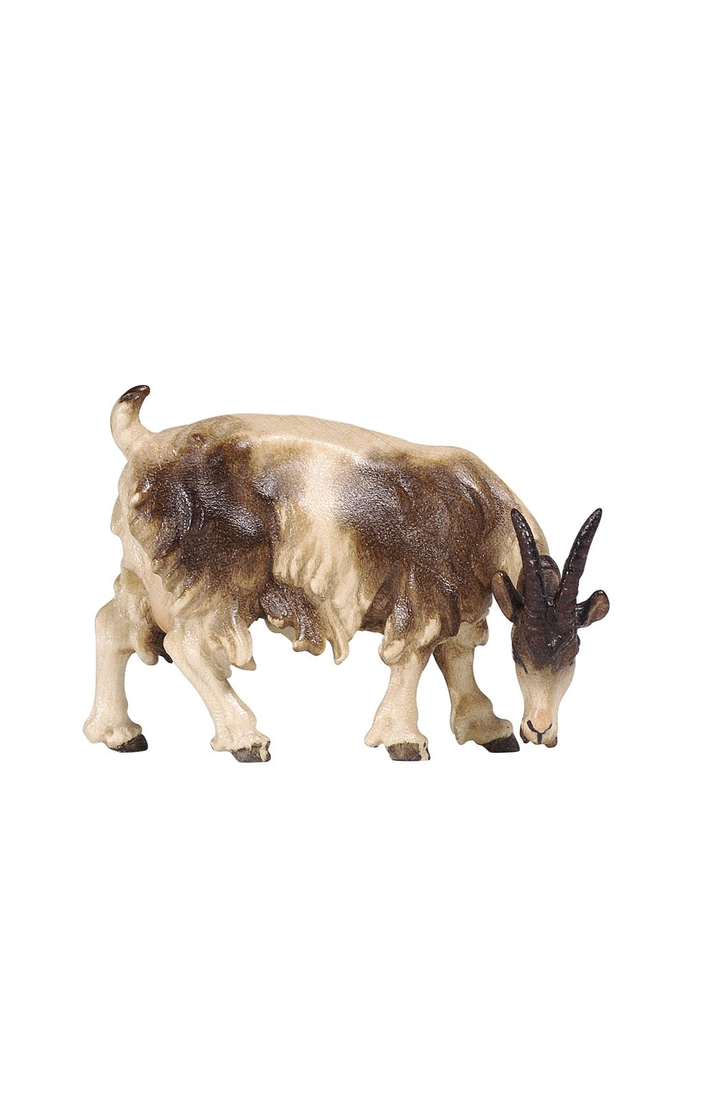 Kostner Goat Gazing Looking Right — Matthew F. Sheehan