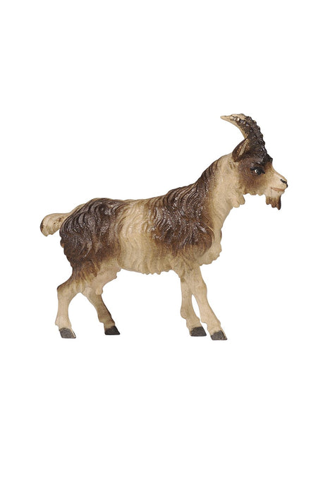 Kostner Goat Short Hair