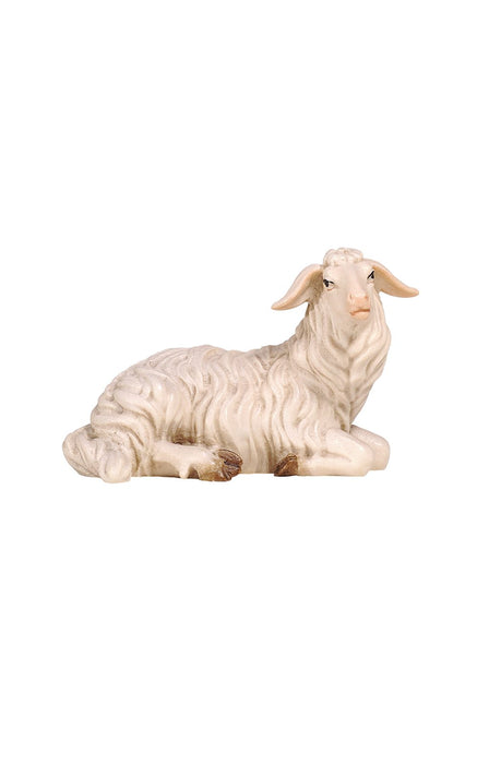 Kostner Sheep Lying Looking Right
