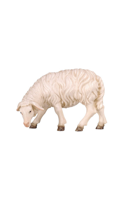 Pema Kostner Sheep Grazing Looking Left