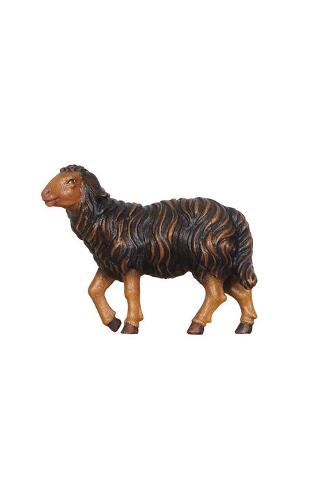 Kostner Sheep Standing Head Up