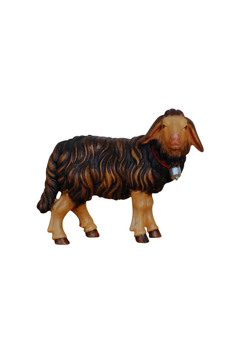 Kostner Sheep Standing With Bell
