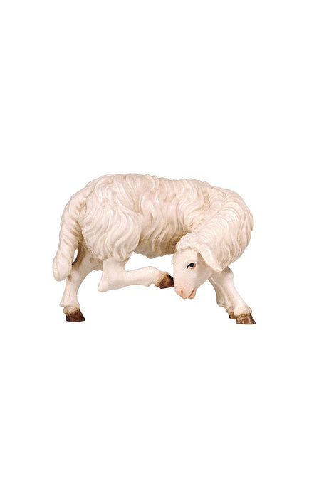 Kostner Sheep Scratching