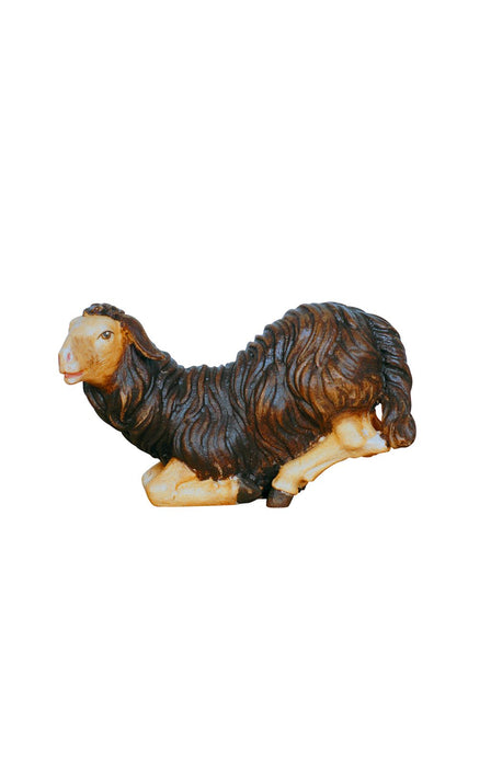Kostner Sheep Kneeling
