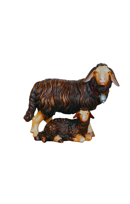 Kostner Group Of Sheep