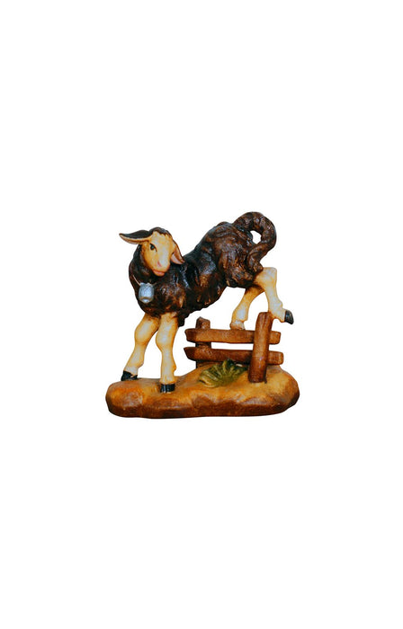 Kostner Lamb Jumping