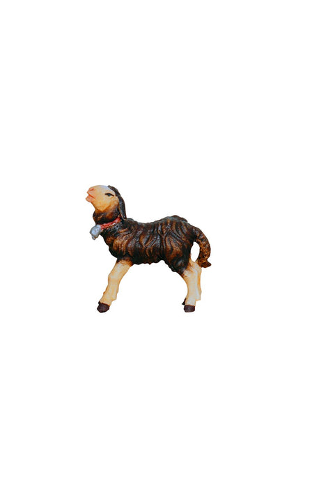 Kostner Lamb Standing