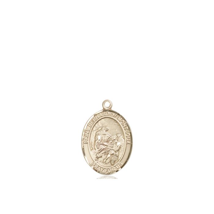 St. Bernard of Montjoux Medium Pendant