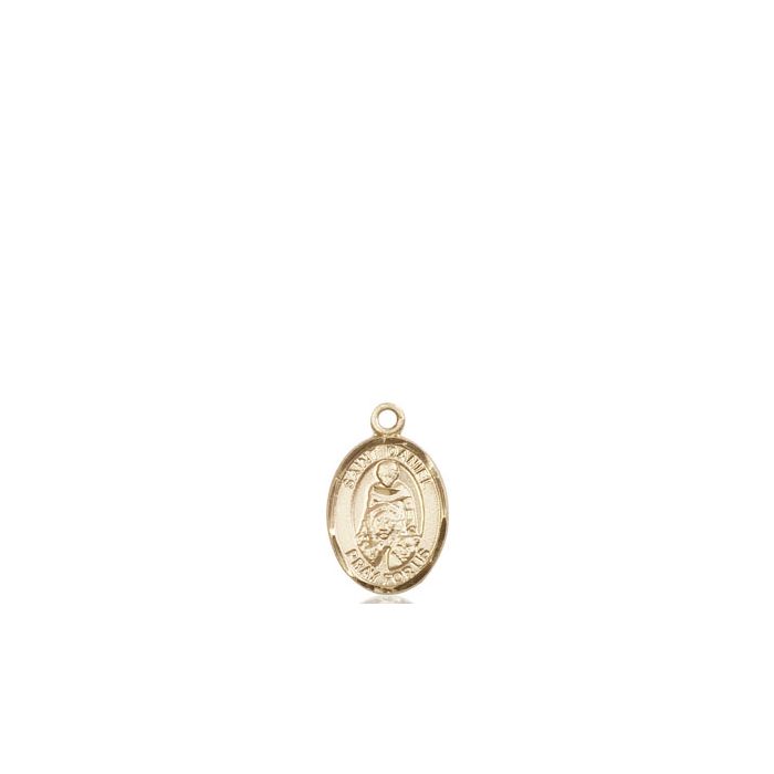 St. Daniel Small Pendant