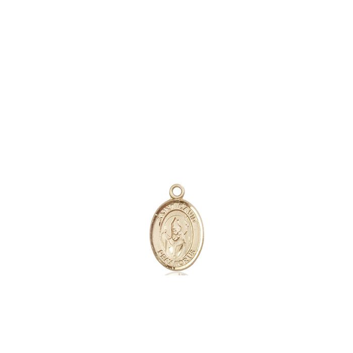 St. David of Wales Small Pendant