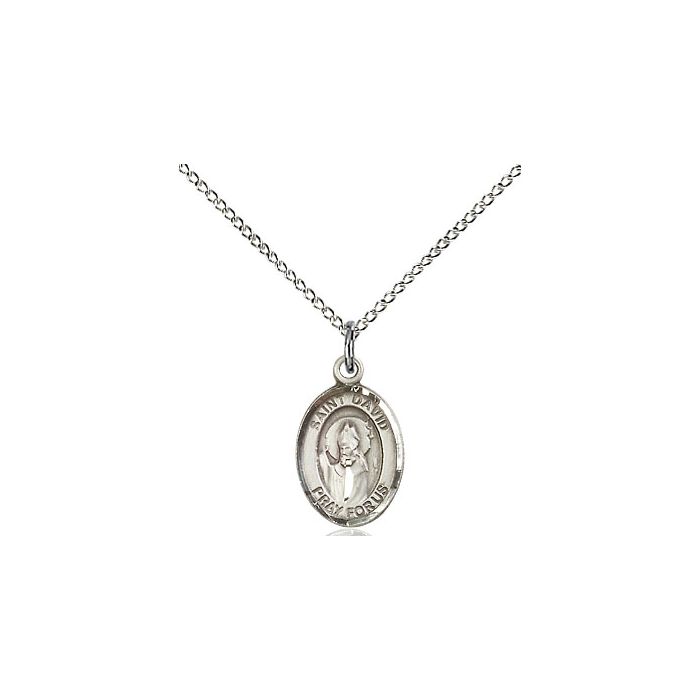 St. David of Wales Small Pendant