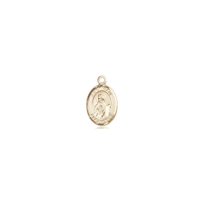 St. Paul the Apostle Small Pendant