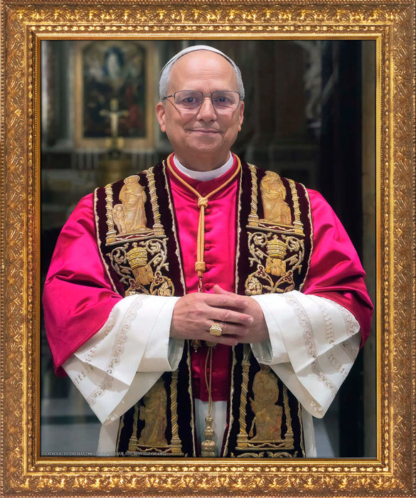 Pope Leo XIV Official Portrait In Standard Gold Frame