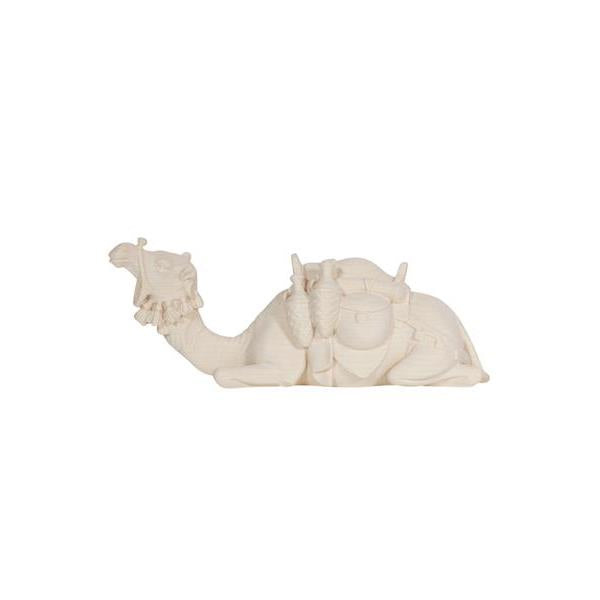 Pema Kostner Camel Lying