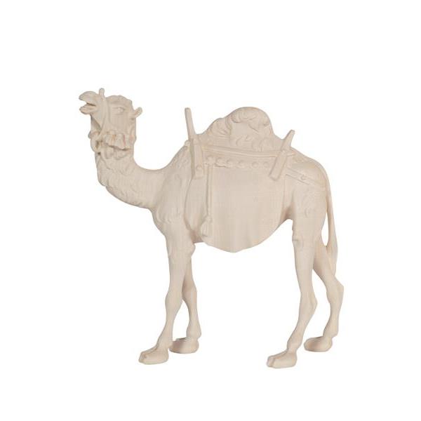 Pema Kostner Camel