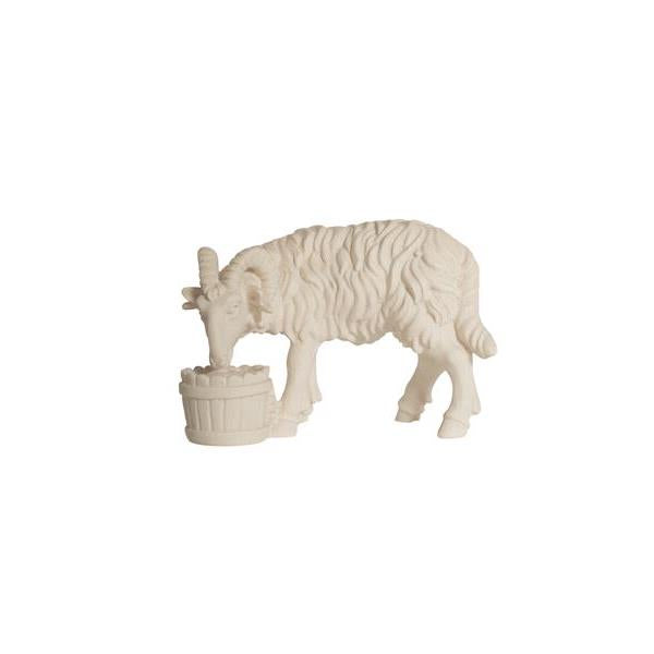 Pema Kostner Ram With Bucket