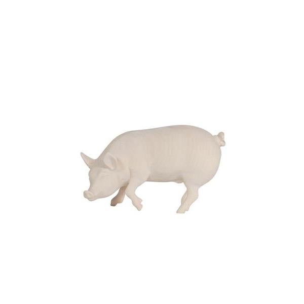 Pema Kostner Pig