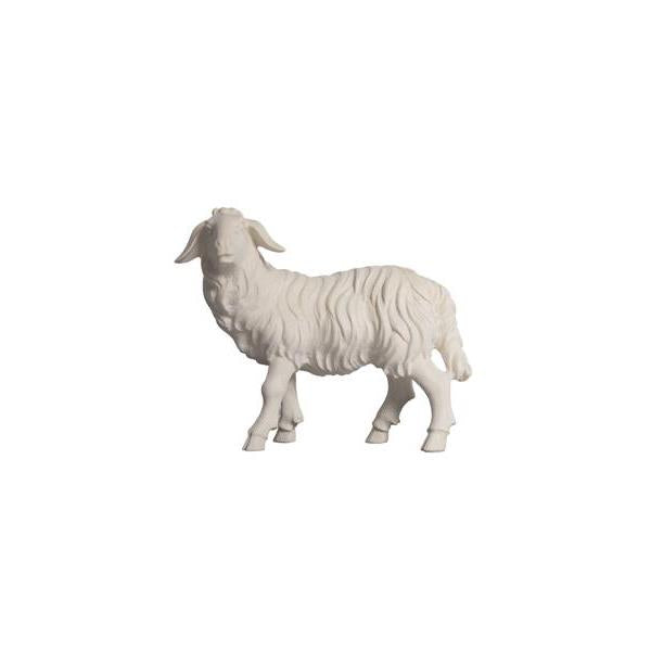 Pema Kostner Sheep Standing Looking Left