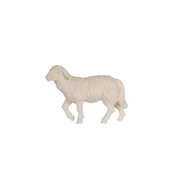 Pema Kostner Sheep Standing Head Up