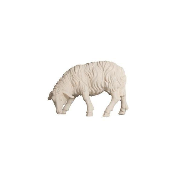Pema Kostner Sheep Grazing Looking Left
