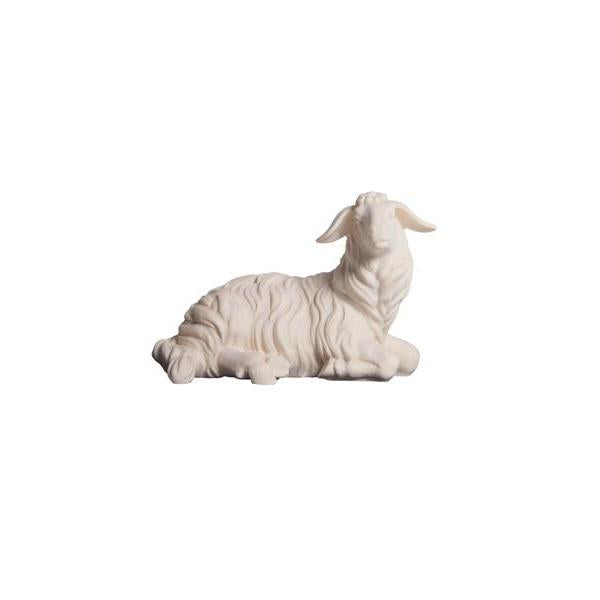 Pema Kostner Sheep Lying Looking Right