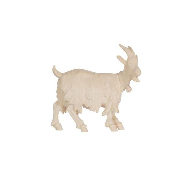 Pema Kostner Goat With Bell Looking Right