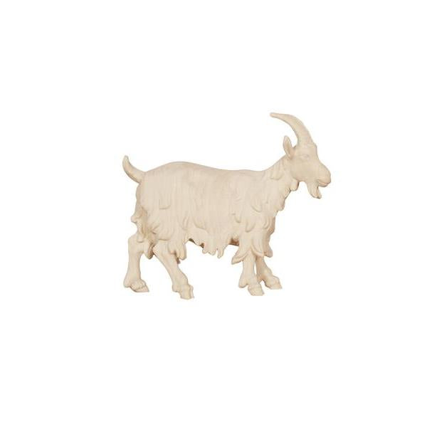 Pema Kostner Goat Head Up