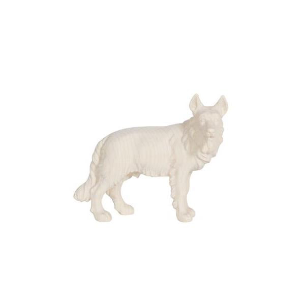 Pema Kostner German Shepherd