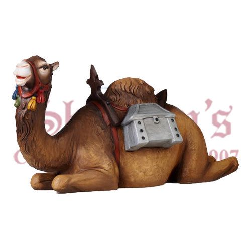 Kostner Camel
