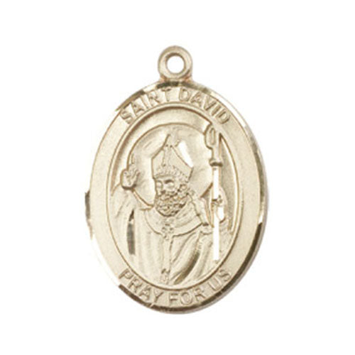 St. David of Wales Large Pendant