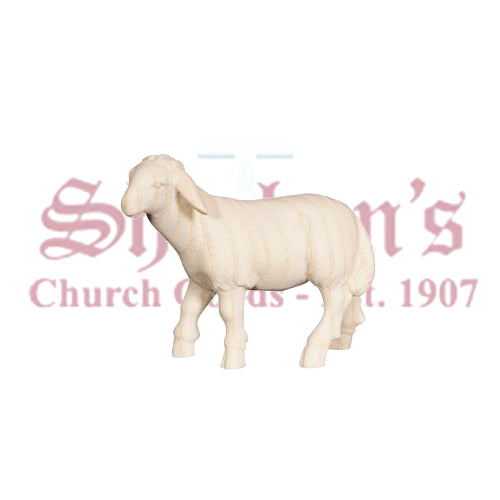 Pema Sheep Standing Looking Left