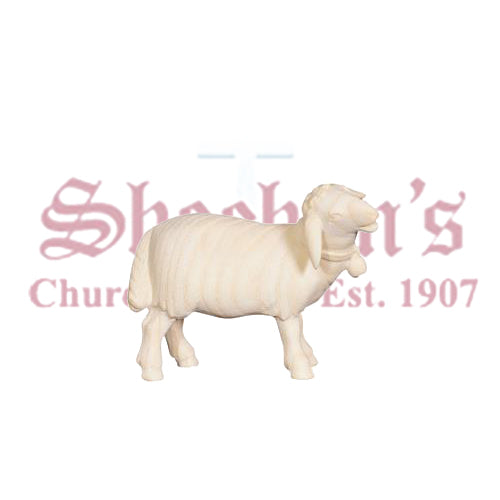 Pema Sheep Standing With Bell Looking Right