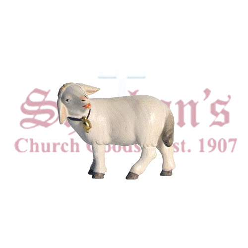 Pema Sheep Standing With Bell Look