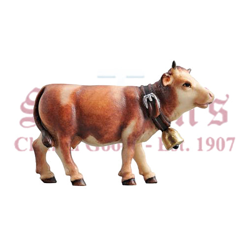 Kostner Cow Looking Forward