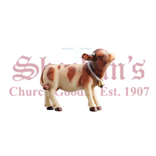Kostner Calf