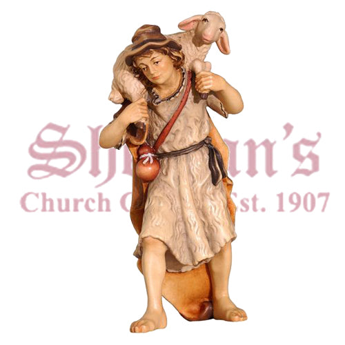 Kostner Shepherd Sheep Shoulder