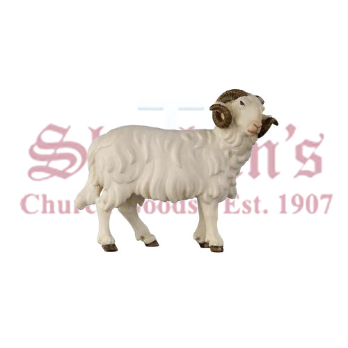 Kostner Ram Looking Right