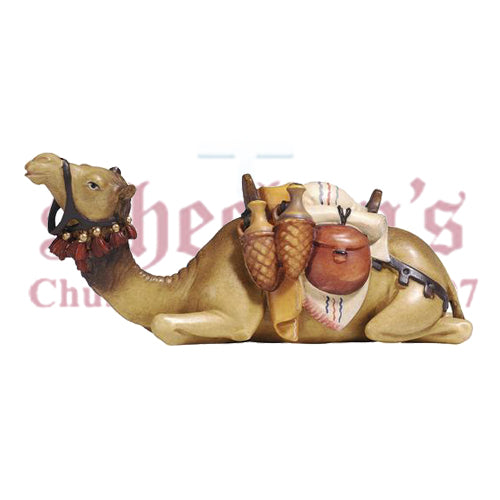 Kostner Camel Lying