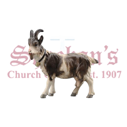 Kostner Goat With Bell Looking Left