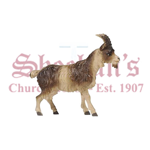 Kostner Goat Short Hair