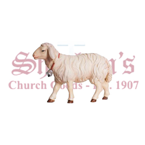Kostner Sheep Going With Bell