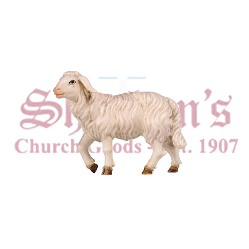 Kostner Sheep Standing Head Up
