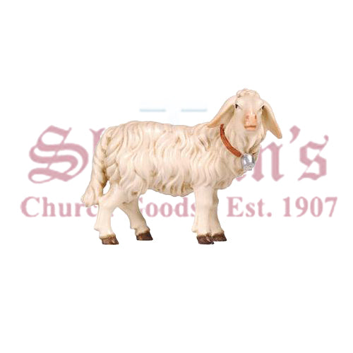 Kostner Sheep Standing With Bell