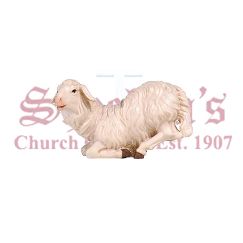 Kostner Sheep Kneeling