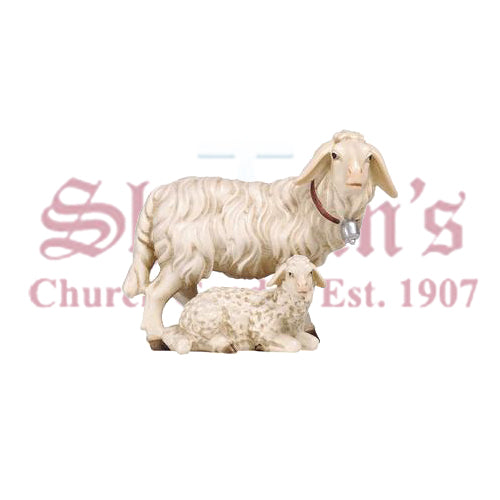 Kostner Group Of Sheep