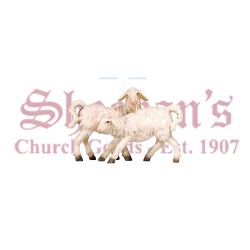 Kostner Group Of Lambs