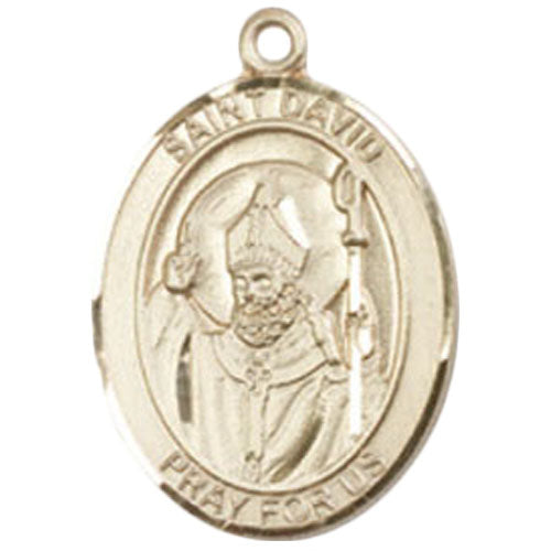 St. David of Wales Medium Pendant